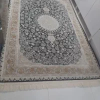 فرش ۹ متری ۱۲۰۰ شانه قیطران|فرش|چالوس, |دیوار