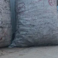 زغ.  درجه یک