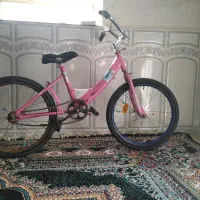 دوچرخه