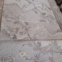 فرش آشپزخانه|فرش|مشهد, سرافرازان|دیوار