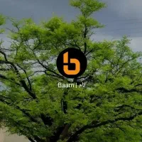 فروش امتیاز وام طرح مهربانی. دره شهر