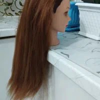 کله مانکن نو|آرایشی، بهداشتی، درمانی|قم, شهر قائم|دیوار