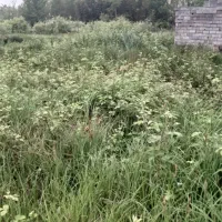 200-متر-زمین-کاملا-مسکونی-کوهبنه