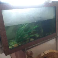 آکواریوم ماهی با تجهیزات آن