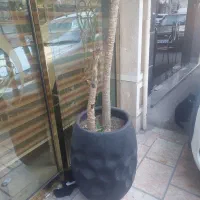 گلدان