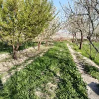 باغ-و-زمین-ویلایی-واقع-در-اسکو