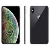 Xs max 256g