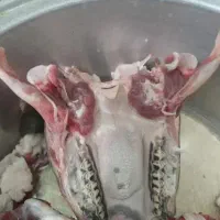 تمیز‌کردن‌کله‌‌پاچه‌گوسفند‌وپاک‌کردن‌سیلاب‌شیردون|خوردنی و آشامیدنی|مشهد, ایثارگران|دیوار