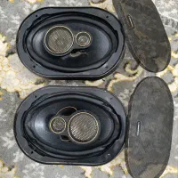 باند لیبرال پایونر