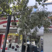 رهن واجاره مغازه