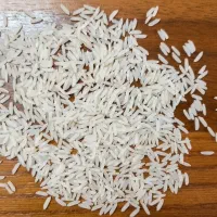 برنج طارم هاشمی