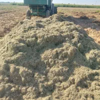 فروش کاه ماش خرمن کوب|خدمات باغبانی و درختکاری|دزفول, |دیوار