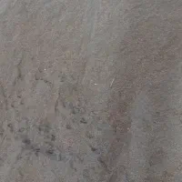 پودر هسته خرما