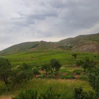 باغ-ویلا-زرشک-املاک-وزرا