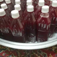 آب انار رباب قصردشت|خوردنی و آشامیدنی|شیراز, میرزاکوچک خان|دیوار