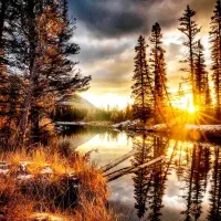 طلاو تتر رایگان