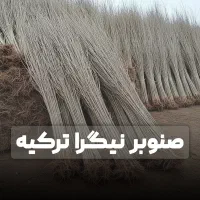 فروش نهال انار واندرفول