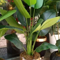 سه تنه درخچه|گل مصنوعی|تهران, مشیریه|دیوار