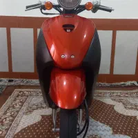 پاکشتی تودی
