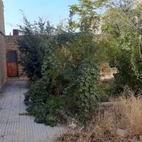 فروش خونه در امام رضای ۵۶|فروش خانه و ویلا|تربتحیدریه, رضاشهر|دیوار