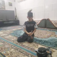 عروسی هلندی|پرنده|قم, چهل درخت‎|دیوار