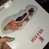 ظروف آشپزخانه|ظروف سرو و پذیرایی|رشت, منظریه|دیوار