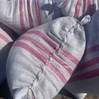 شالی فجرر سوزنی