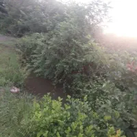 زمین در صومعه سرا
