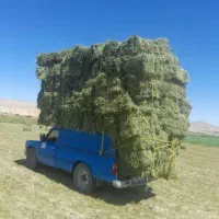 پرس یونجه درجه 1