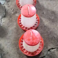 دانخوری و آبخوری