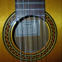 گیتار کلاسیک|گیتار، بیس، امپلیفایر|تهران, افسریه شمالی|دیوار