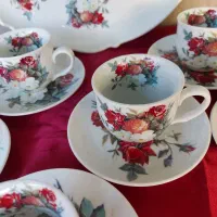 ظروف چینی پذیرایی متفاوت مارک