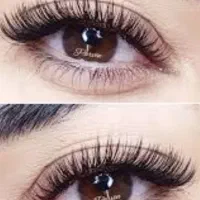نیازمند مژه کار حرفه ای درصدی یا اجاره ای