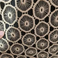 انواع لباس و مانتو|لباس|مراغه, |دیوار