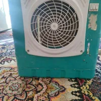 کولرابی جنرال سون|کولر آبی|جوانرود, |دیوار