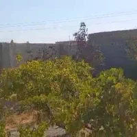 فروش چند قطعه باغچه بدون واسطه با متراژ های مختلف|فروش زمین و ملک کلنگی|تهران, شهرک پاسداران|دیوار