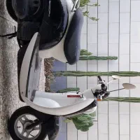 هوندا پاکشتی اسکوپی