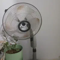 پنکه ایستاده