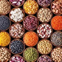 فروش حبوبات و برنج با کیفیت بالا و قیمت عمده