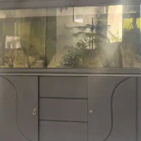 اکواریوم ۱.۵ متری دلسا