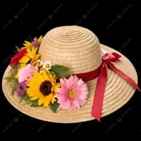 آنلاین شاپ شاپرک