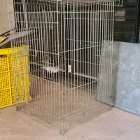 سینی پلاستیکی فلافل و لوازم دیگر|ظروف پختوپز|ری, علایین|دیوار