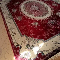 فرش و موکت|فرش|بوشهر, |دیوار