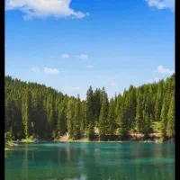 راهنمایی کنید لطفا