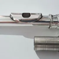 سر ساز عصایی