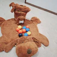 یک عدد فرشینه و جا دستمال کاغذی و سطل|پادری|بندرعباس, |دیوار