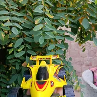 گالوپ مسابقه ای|اسباب‌بازی بچه|تهران, تسلیحات|دیوار