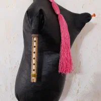 نی همبون آموزشی درجه یک