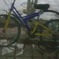 سه عدد دوچرخه به قیمت زایعات سالم|دوچرخه، اسکیت، اسکوتر|کاشمر, |دیوار