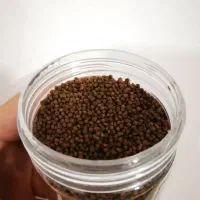 غذای ماهی گوشتخوار آکواریومی|ماهی|سرپل ذهاب, |دیوار